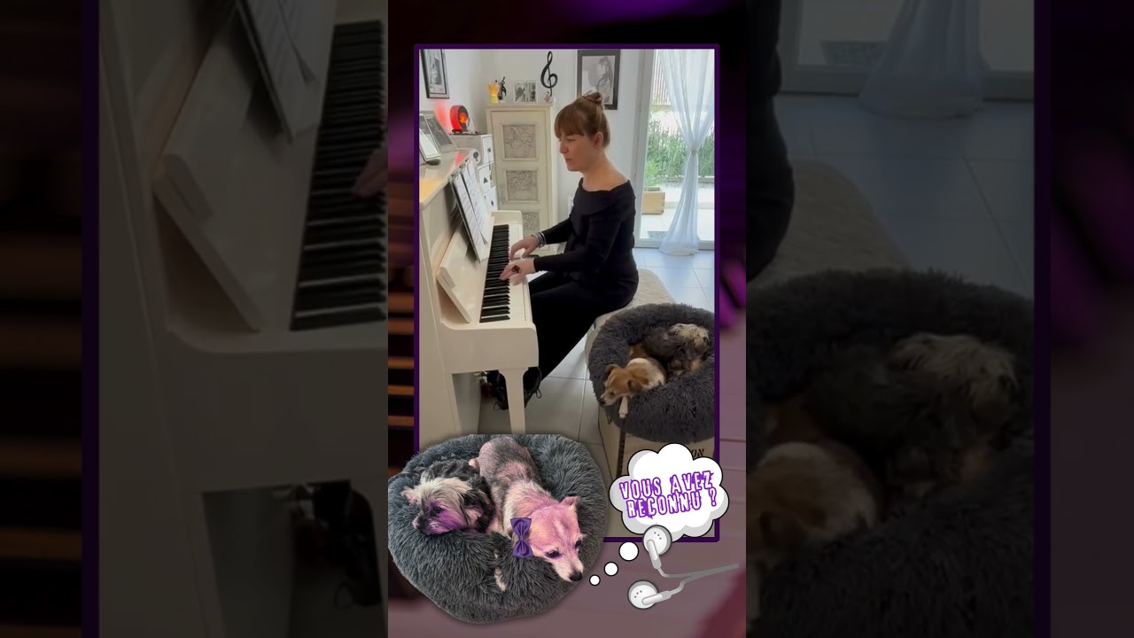 LA MUSIQUE AVEC MES MASCOTTES...🐶🎶