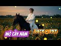Mỏ Cày Nam | Jack - J97
