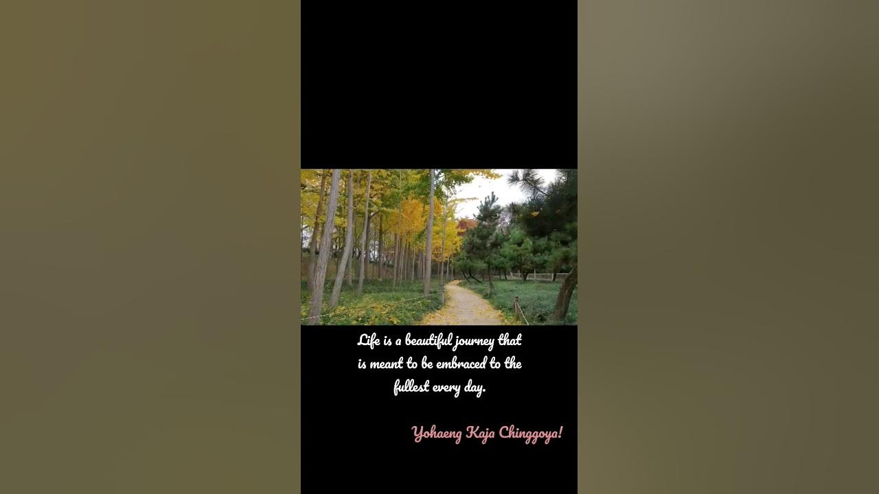 Life Is A Beautiful Journey That Is Meant To Be Embraced To The Fullest life-is-a-beautiful-journey-that-is-meant-to-be-embraced-to-the-fullest