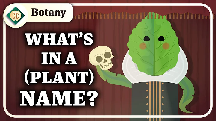 How Do We Categorize Plants?: Crash Course Botany #7