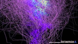 Mouse Hippocampus Network Simulation
