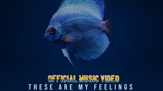 Mr.FIRA - These Are My Feelings (OFFICIAL MUSIC VIDEO) | NEW MUSIC VIDEO 2022 Resimi