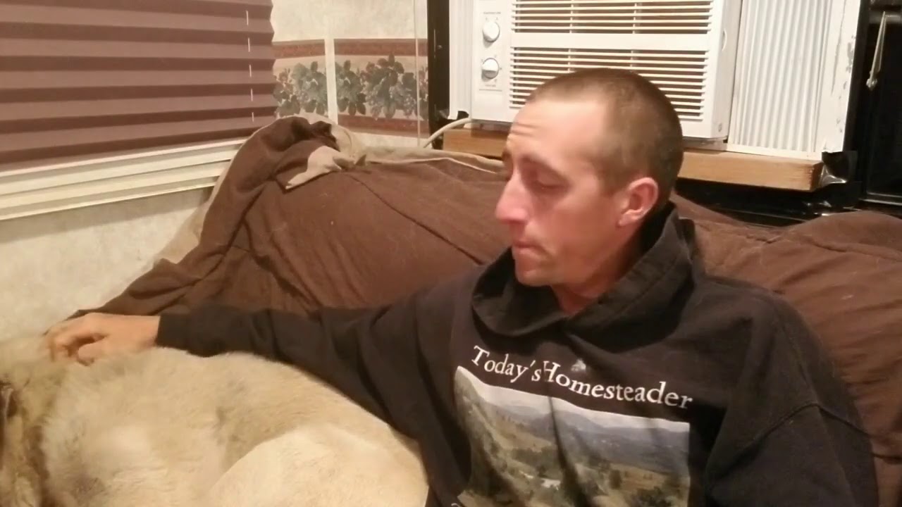 Why I'm Giving Up & Throwing In The Towel YouTube