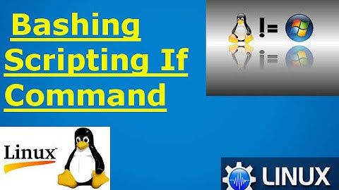 Bash Shell Scripting if command