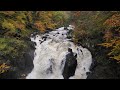 The Hermitage River Walk, Dunkeld, Scottish Countryside 4K