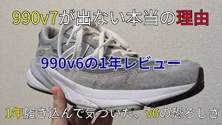 My conclusion after wearing the 990v6 for a year: Why hasn't the v7 been released