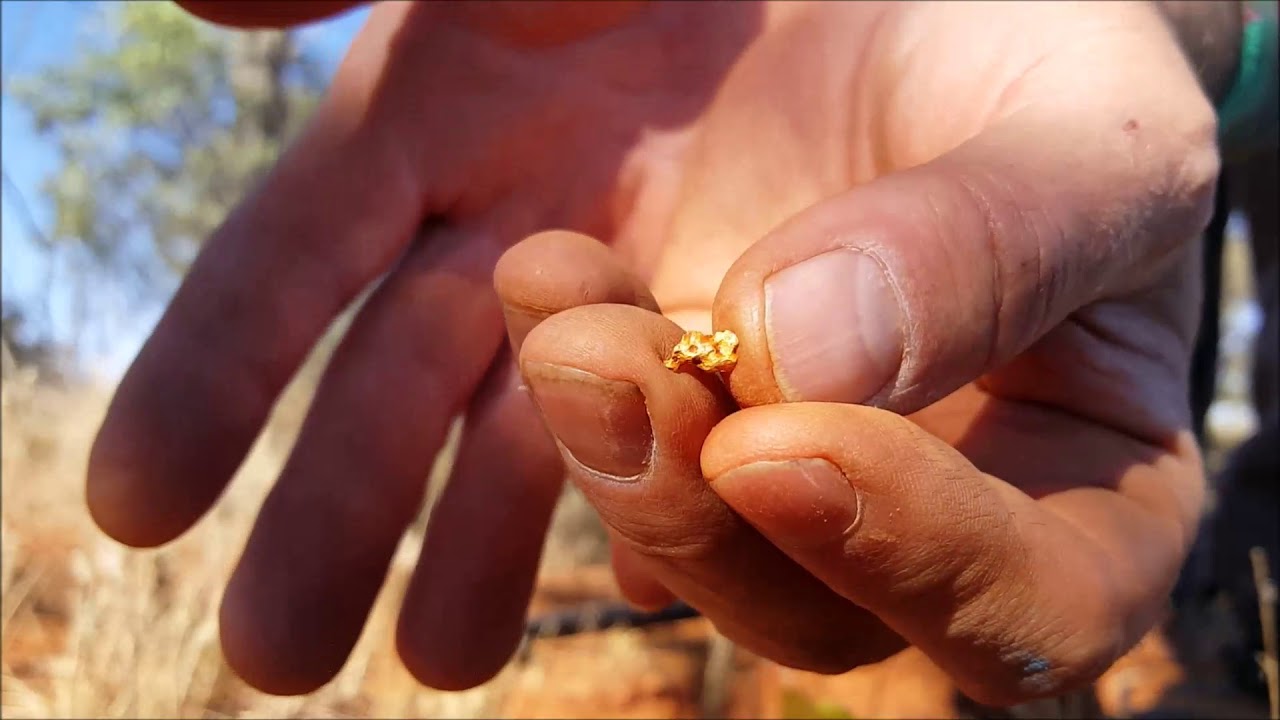 gold detecting tours western australia