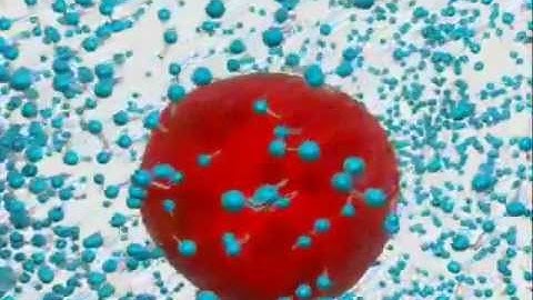 MPCD - Mechanism for the micelle formation and the surfactant action.