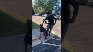 Just Wait The Whole World Gone Know Who Stb Deejayy & Shiesty Is