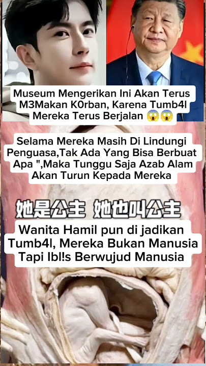 Museum 798 milik pejabat tinggi #yumenglong #justiceforyumenglong #feedshorts #trending