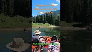 Moose Cooling Off In The Upper Shuswap River-Solar 470 SJT #shorts
