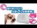 三角ラビレットL 大きめうさぎにもオススメの大型トイレ