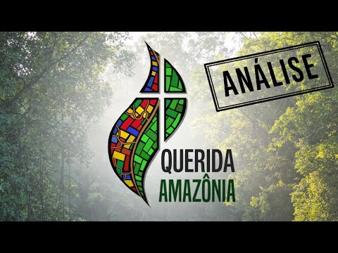 [Análise] Exortação Apostólica "Querida Amazônia": otimismo prematuro e necessidade de vigilância