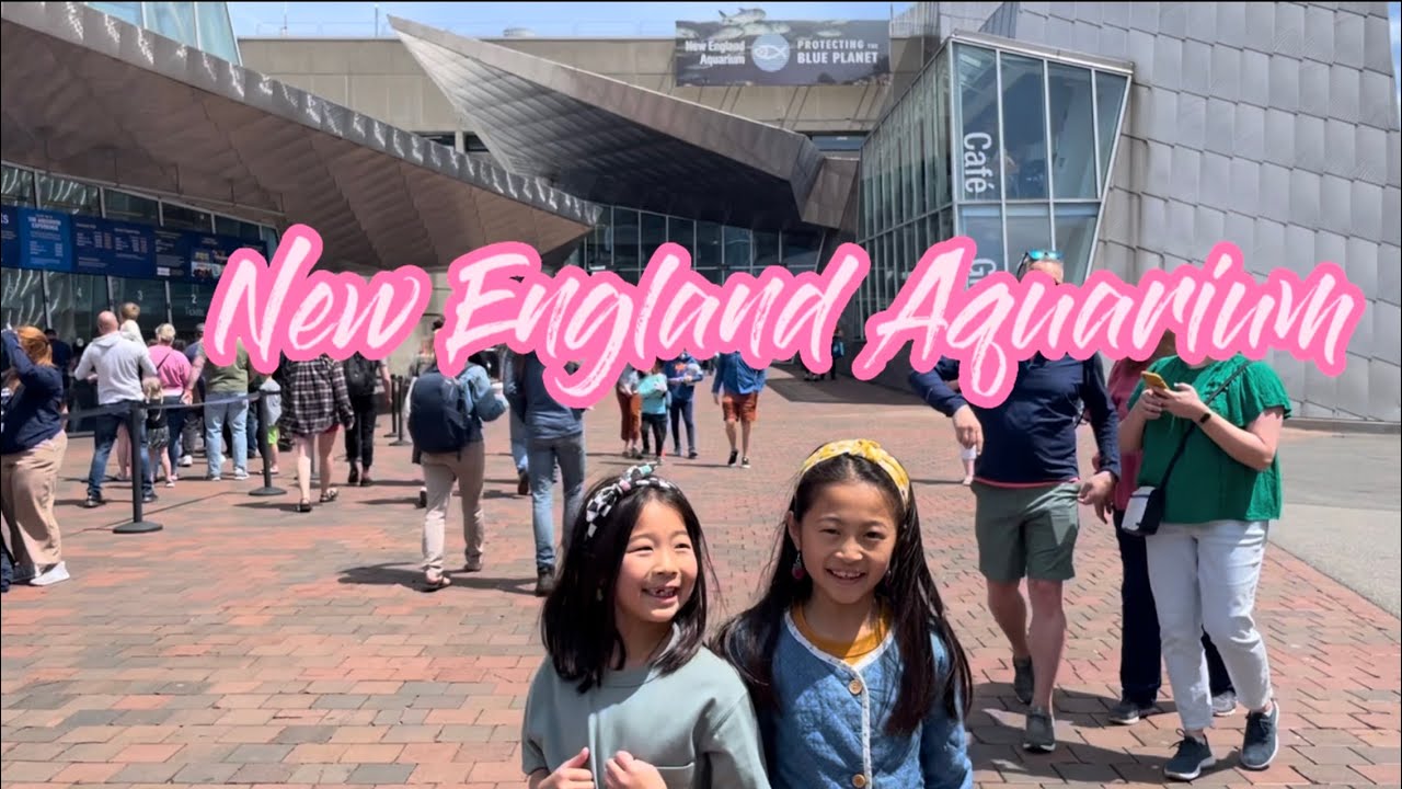 New England Aquarium 新英格兰水族馆 YouTube