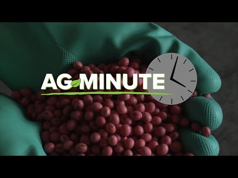 Видео: Канадын улаан шар буурцагны тухай мэдээлэл: Канадын улаан шар буурцагны ургамлыг ургуулах зөвлөмжүүд