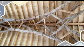 The Structural Awards 2016 - Wonderful Wood