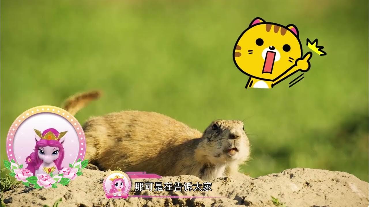Filly Funtasia's Colourful Animals World - season 2 - Step-by-step