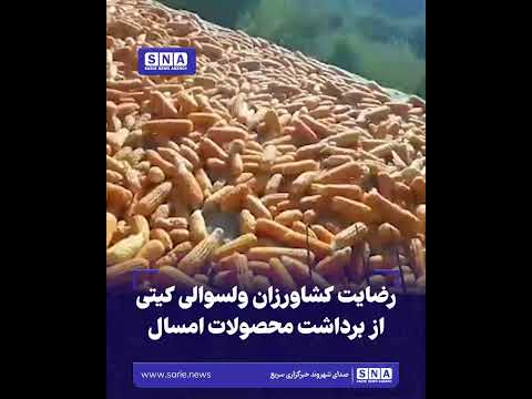 خبرگزاری سریع 47 رضایت کشاورزان ولسوالی کیتی از برداشت محصولات امسال