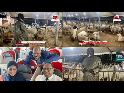 Fête deTabaski : La première dame Mareme F. SALL offre plus 5000 moutons en compagnie de Farba ngom
