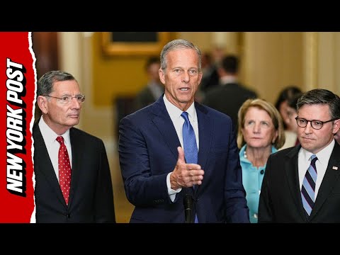 Senator Thune Says Democrats Have Trump Derangement Syndrome 'On Steroids’