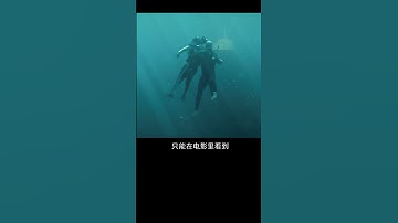 五种被误解的动物现象！咬你的蚊子是母蚊子你知道吗？ #涨知识  @抖音小助手