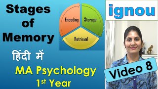 Different Stages of Memory Encoding Storage Retrieval Cognitive Psychology  in Hindi Monica Josan