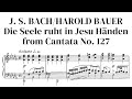 Bachbauer aria die seele ruht in jesu hnden from cantata no 127 with sheet music