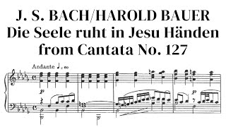 Bach/Bauer: Aria Die Seele Ruht in Jesu Händen from Cantata No. 127 with sheet music