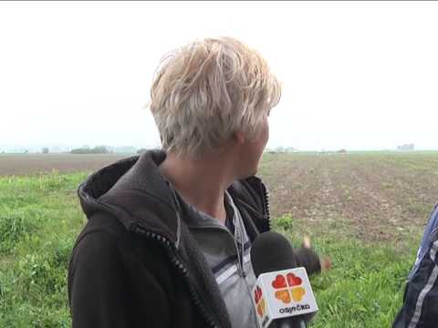 Video: Uzgajajte šparoge