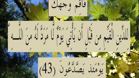 القران الكريم سورة الروم الأية 43.wmv