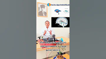 Что это за ЧУДЕСНАЯ ЖИДКОСТЬ, в которой плавает наш мозг? | Проф. Др. Альпер КАРАОГЛАН