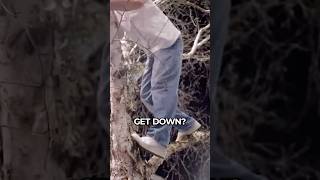 Arthur Falls Out Of A Tree