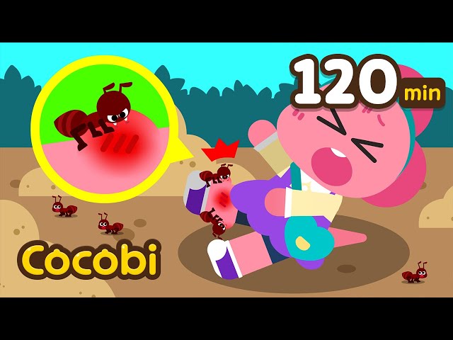 Don't Play with Ants! 🐜 + Play Safe Songs Compilation | Nursery Rhymes & Kids Songs | Cocobi class=