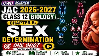 Class 12 Biology — Chapter 5: Sex Determination (Principles of Inheritance &amp; Variation)