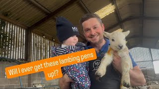 Bye pigs, Hello lambs!