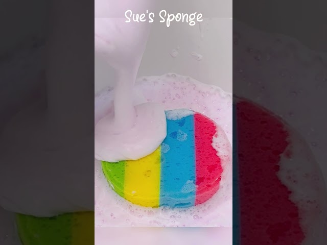 ASMR Sponge x Milk Frother