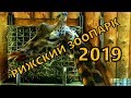 Рижский зоопарк.Полный обзор.Зоопарк 2019