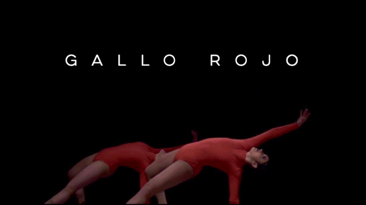 Gallo Rojo - Silvia Pérez Cruz y Coetus I Coreografía Ane Pérez y Ane Leturiaga