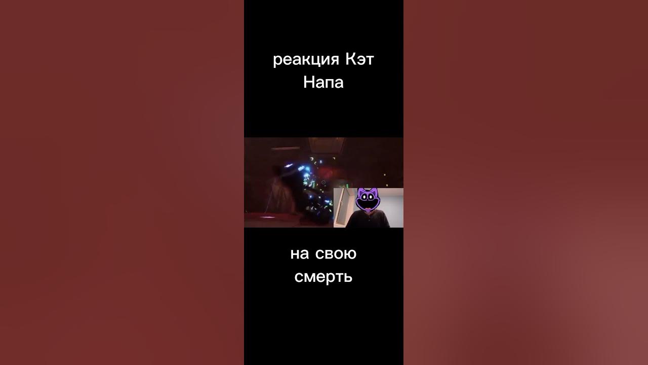 Кэт нап майнкрафт