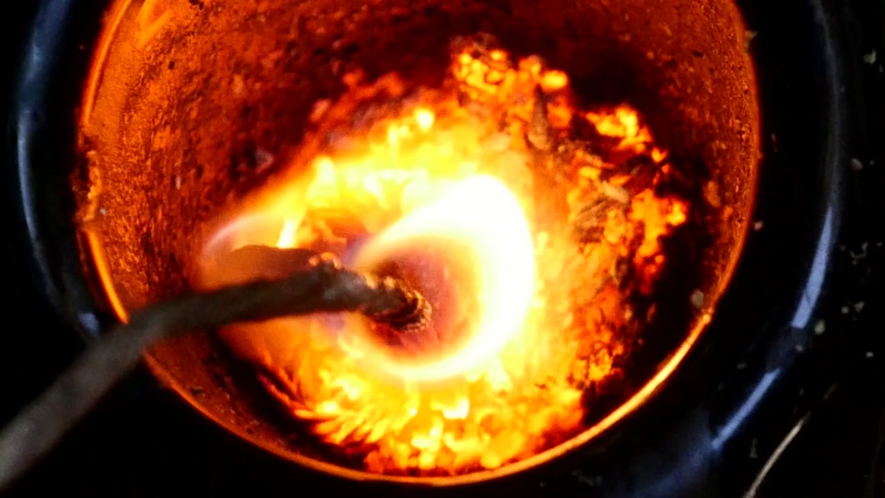 ANIMAL COOKIES BURNSHOT (CANNABIS.USE.ONLY.)