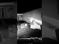 Cops Unlawfully Send Dog On Man