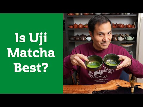 Uji vs Tenryu Matcha: Which Should You Choose?