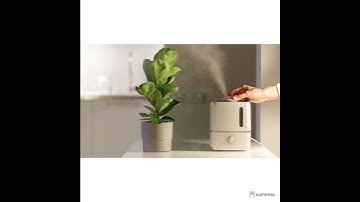 Should the humidifier run all night?