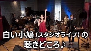 増田惠子 -「白い小鳩」（スタジオライブ）の聴きどころ♪