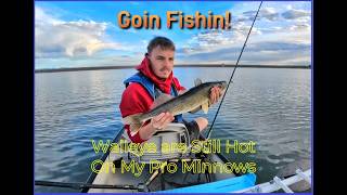 The Pro Minnow is STILL Hot for Walleye! (Proof Inside)YouTube