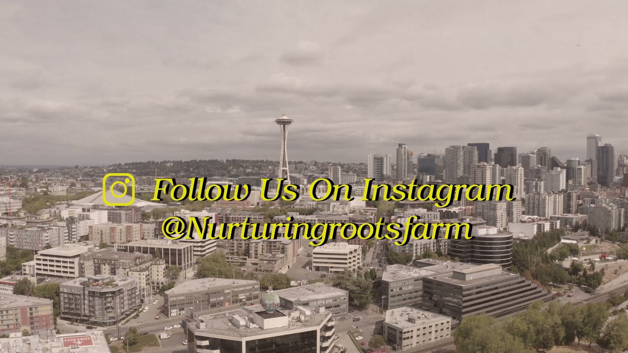 Nurturing Roots: Farm Family Matters! - YouTube