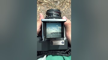 Exploring Sweden With a Film Camera