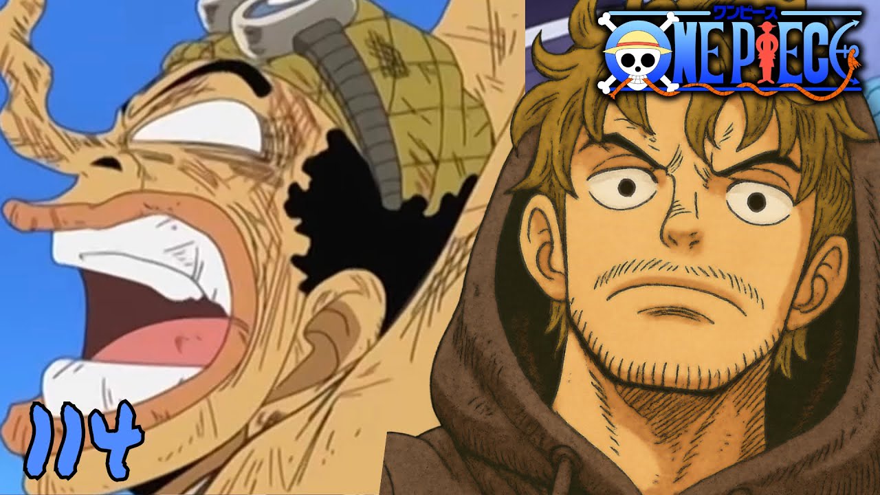 Team Chopper & Usopp - One Piece Episode 114 Review! 