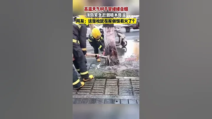高溫天氣樹幹冒縷縷白煙 消防緊急趕到噴水降溫#熱點新聞事件#新聞#搞笑#真實事件#奇聞趣事#shorts - 天天要聞