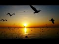 "O Adeus no Cais - musica Romântica de Amor e Despedida"